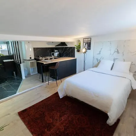 Vieux - Loft - Balneo ニース