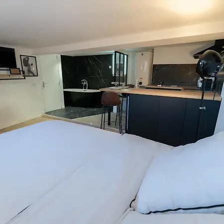 Vieux - Loft - Balneo * ニース